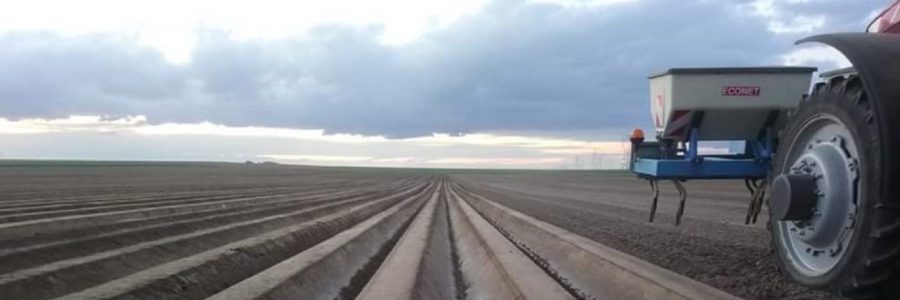 PLANTATION DE POMMES DE TERRE