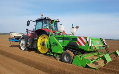 Planteuse de pommes de terre CABC